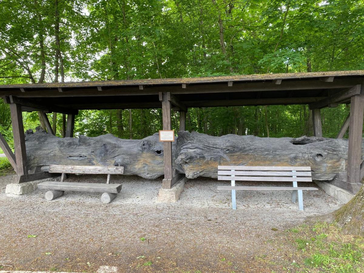 Appartementhof Stadler Pocking  Exteriér fotografie