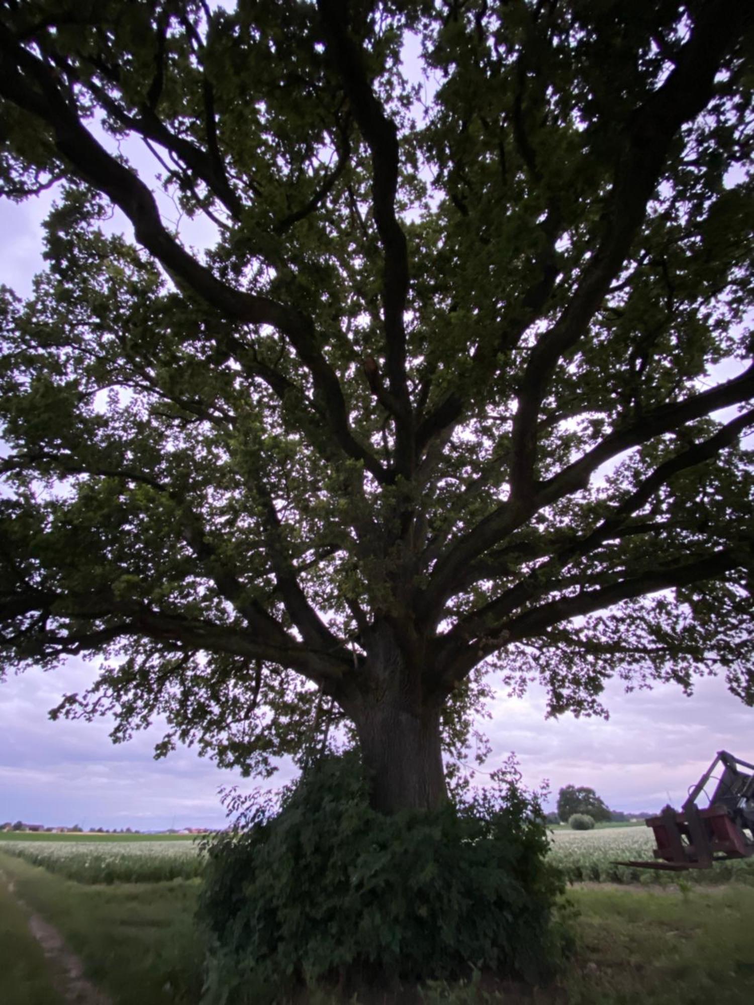 Appartementhof Stadler Pocking  Exteriér fotografie