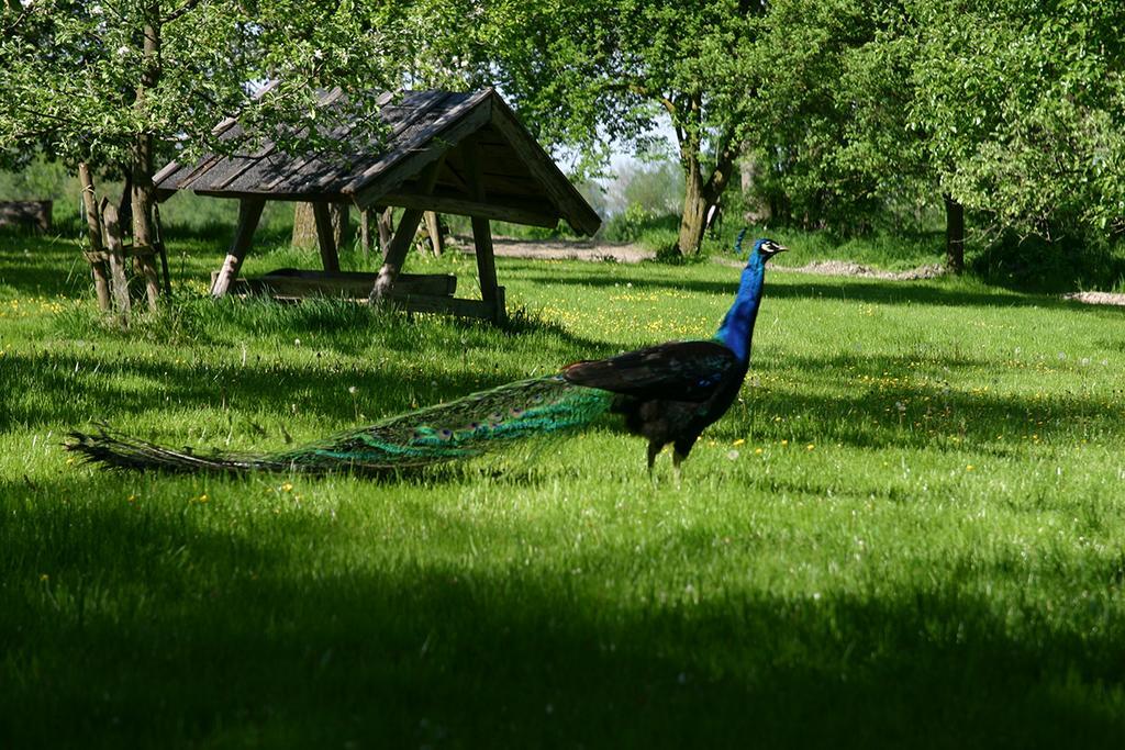 Appartementhof Stadler Pocking  Exteriér fotografie